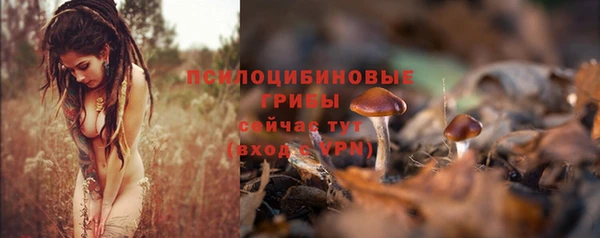 a pvp Белоозёрский