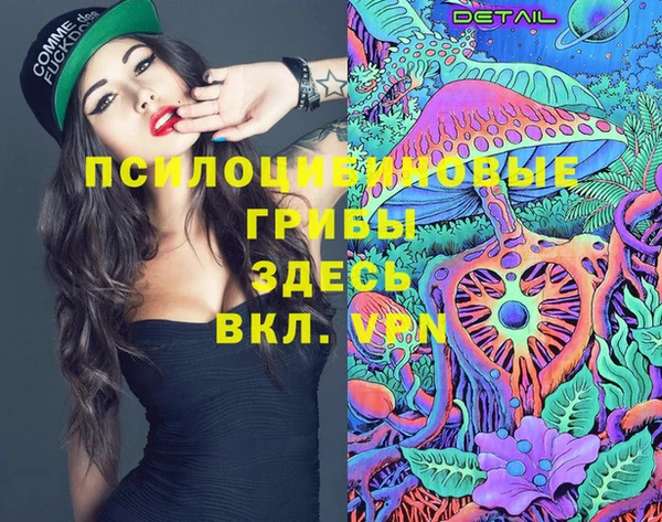 спиды Белокуриха