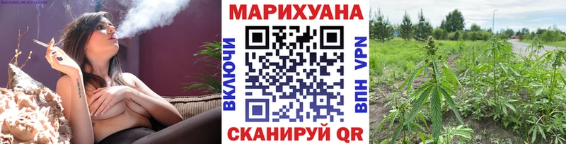 купить   Шатура  Марихуана гибрид 